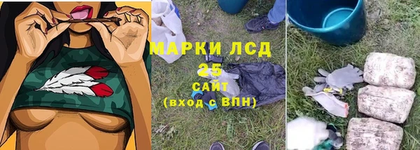 гашик Алексеевка
