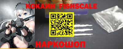 дмт Гатчина