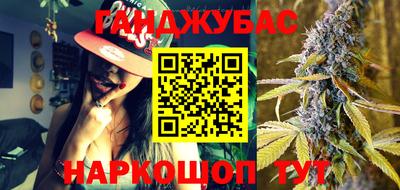 дмт Гатчина