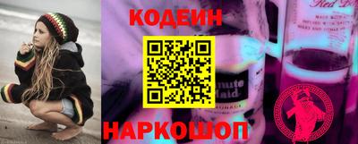 дмт Гатчина