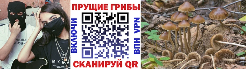 Псилоцибиновые грибы мухоморы  ОМГ ОМГ ТОР  Протвино 